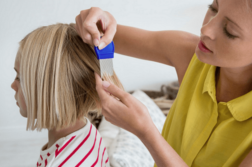 Best Defense Against Head Lice?