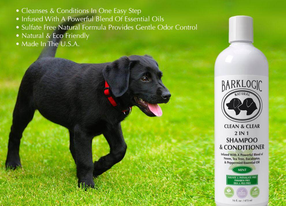 BL-Clean-_-Clear-2-in-1-Shampoo-_-Conditiner