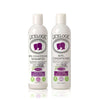 LiceLogic-Lice-Prevention-Shampoo-and-Conditioner-Lavender-Protect-Your-Your-Family!-front